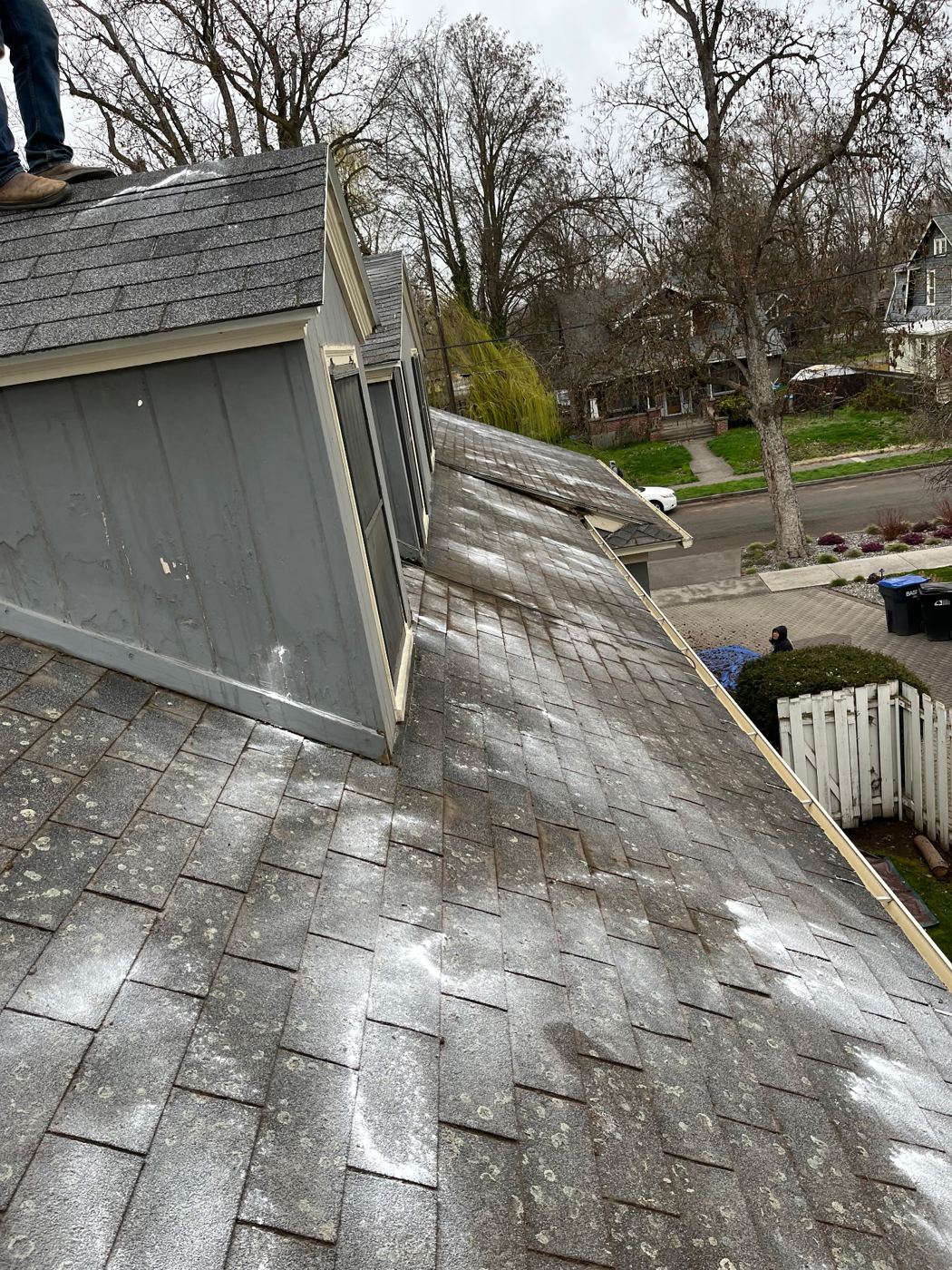Same roof after moss removal with treatment applied