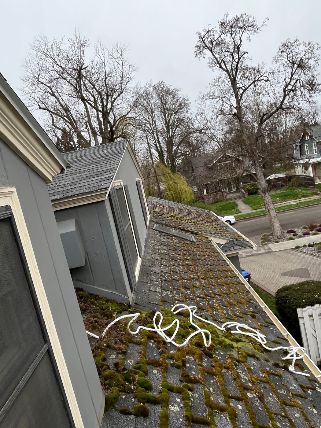 Moss-covered roof before removal and treatment